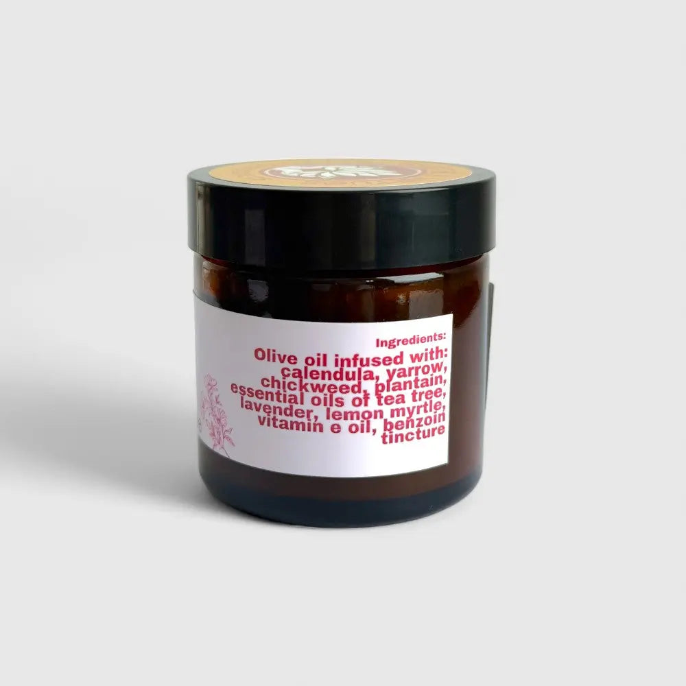 Earthly Virtues Herbal Healing Salve 40g Medi Jelly