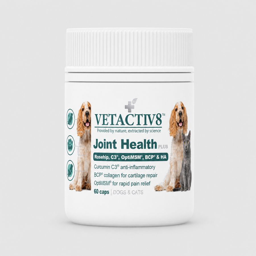 Joint Health Plus product image 1