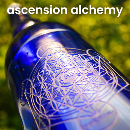 Blue Bottle Love Ascension Alchemy Close Up