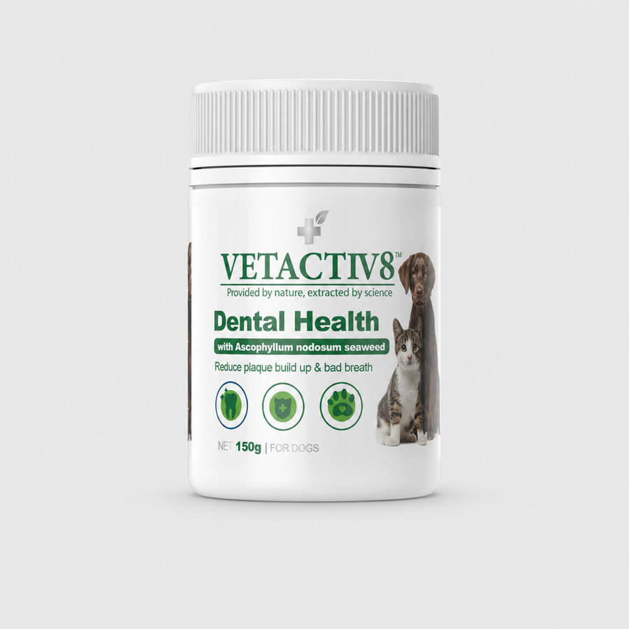 dental health product image 1