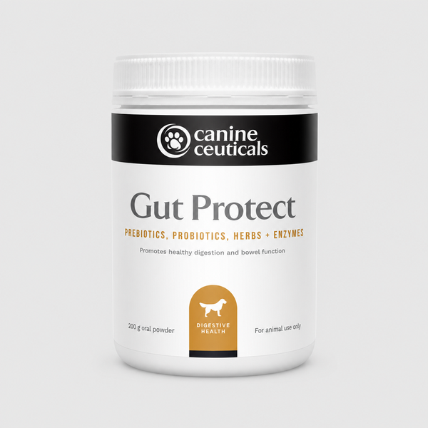 Gut Protect product image 1