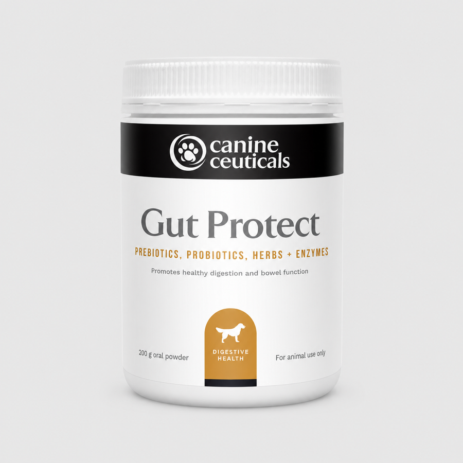 Gut Protect product image 1