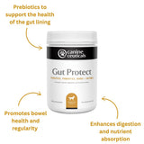 Gut Protect product image 4