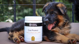 Gut Protect product image 5