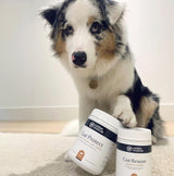 Gut Protect product image 7