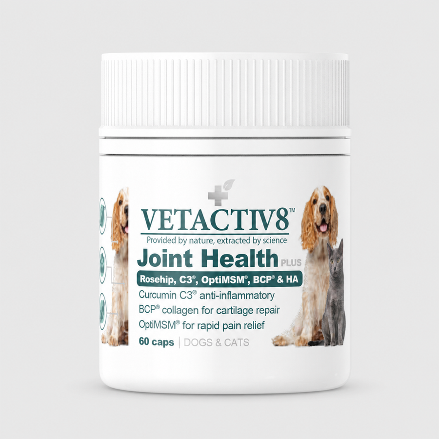 joint health plus product image 1