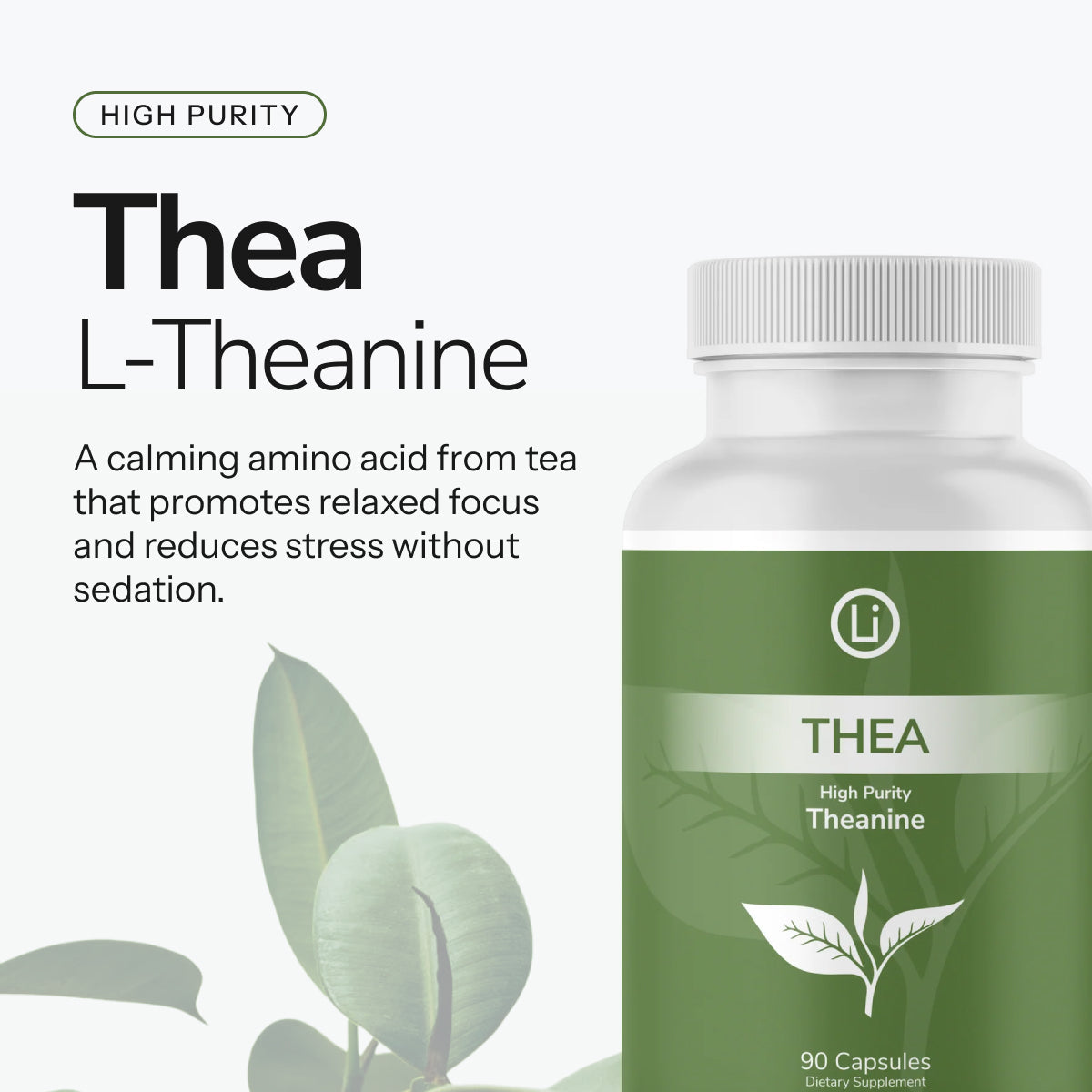 LifeBlud Thea calm focus supplement product image