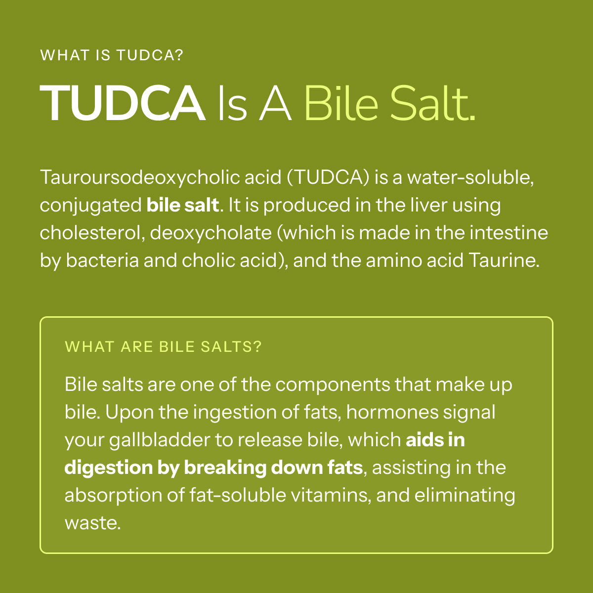 LifeBlud TUDCA MAX clean capsule formula for detoxification support