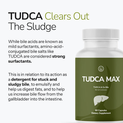 LifeBlud TUDCA MAX fat digestion and nutrient absorption support