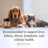 Liver Lift for dogs and cats