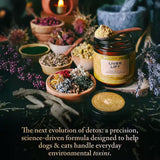 Liver Lift the next evolution of detox