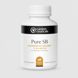 Pure SB product image 1