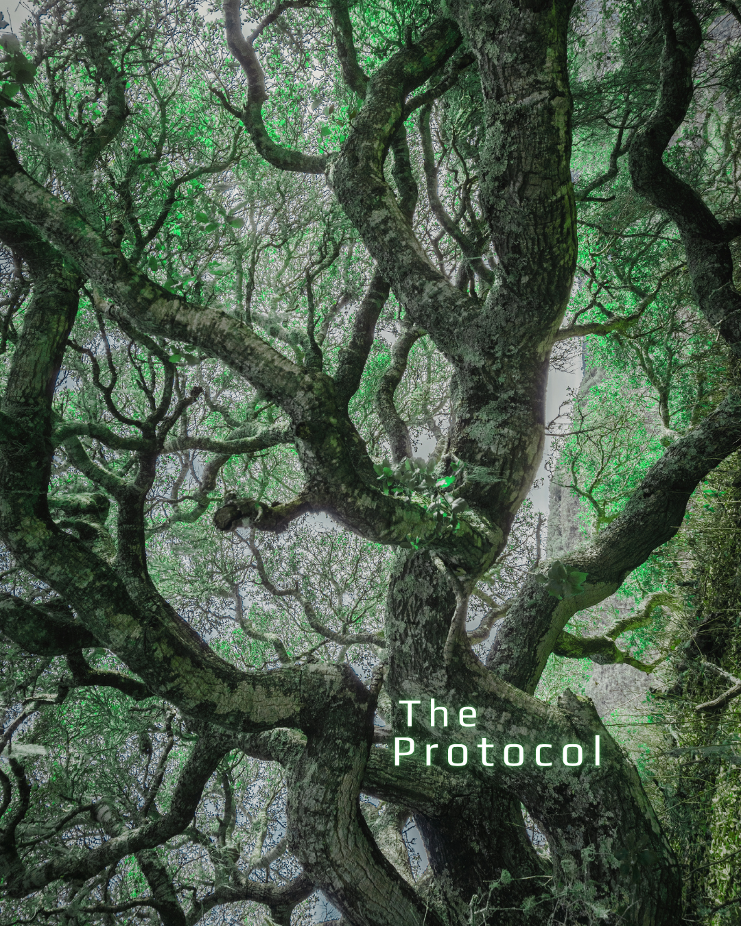 CLRLY protocol page 1