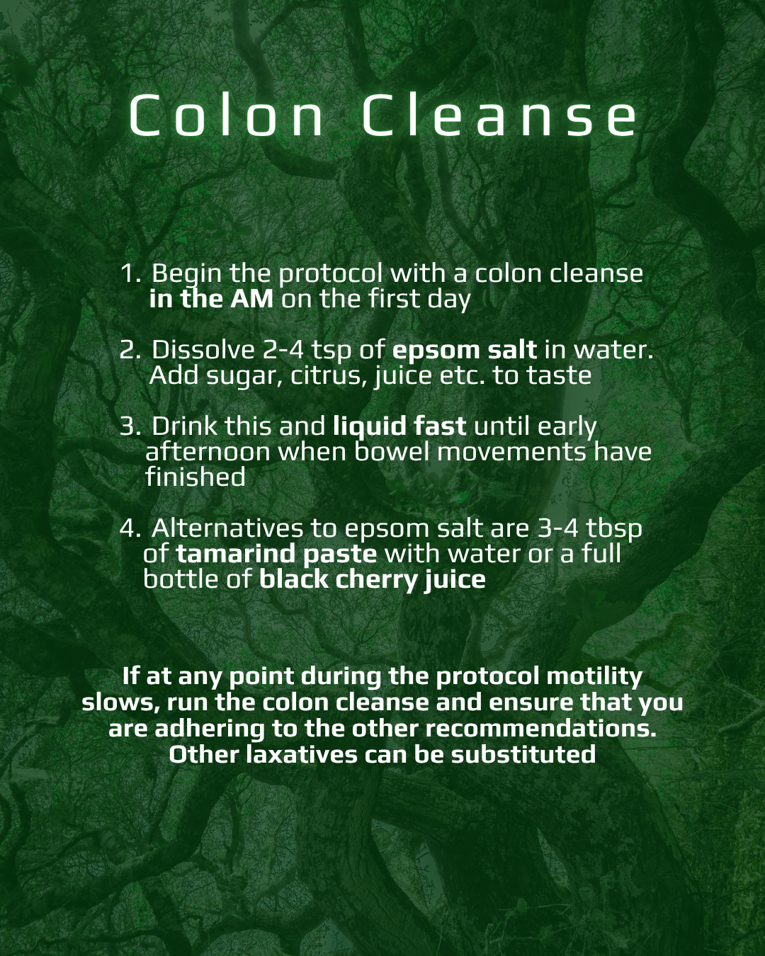 CLRLY protocol page 2