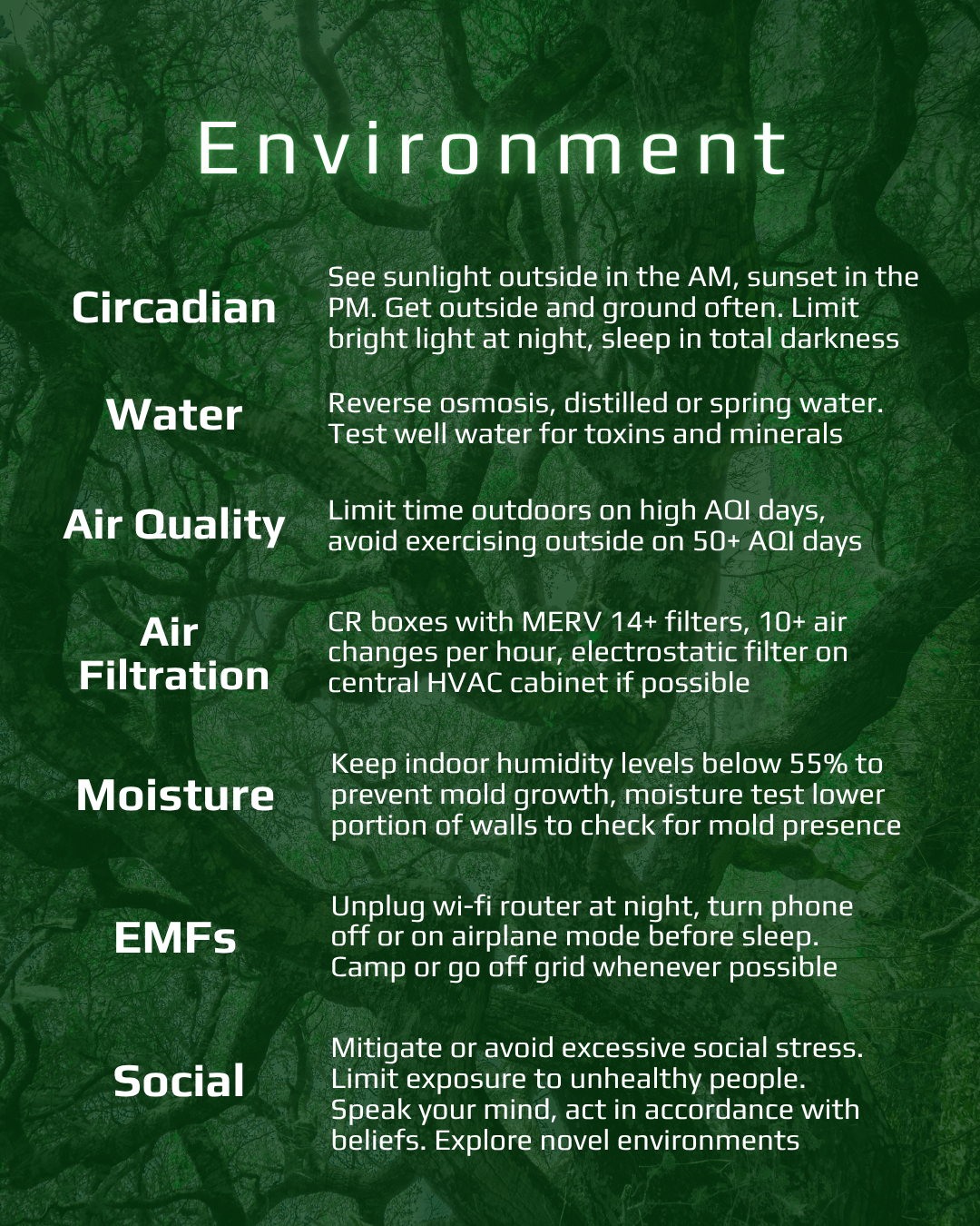 CLRLY protocol page 6