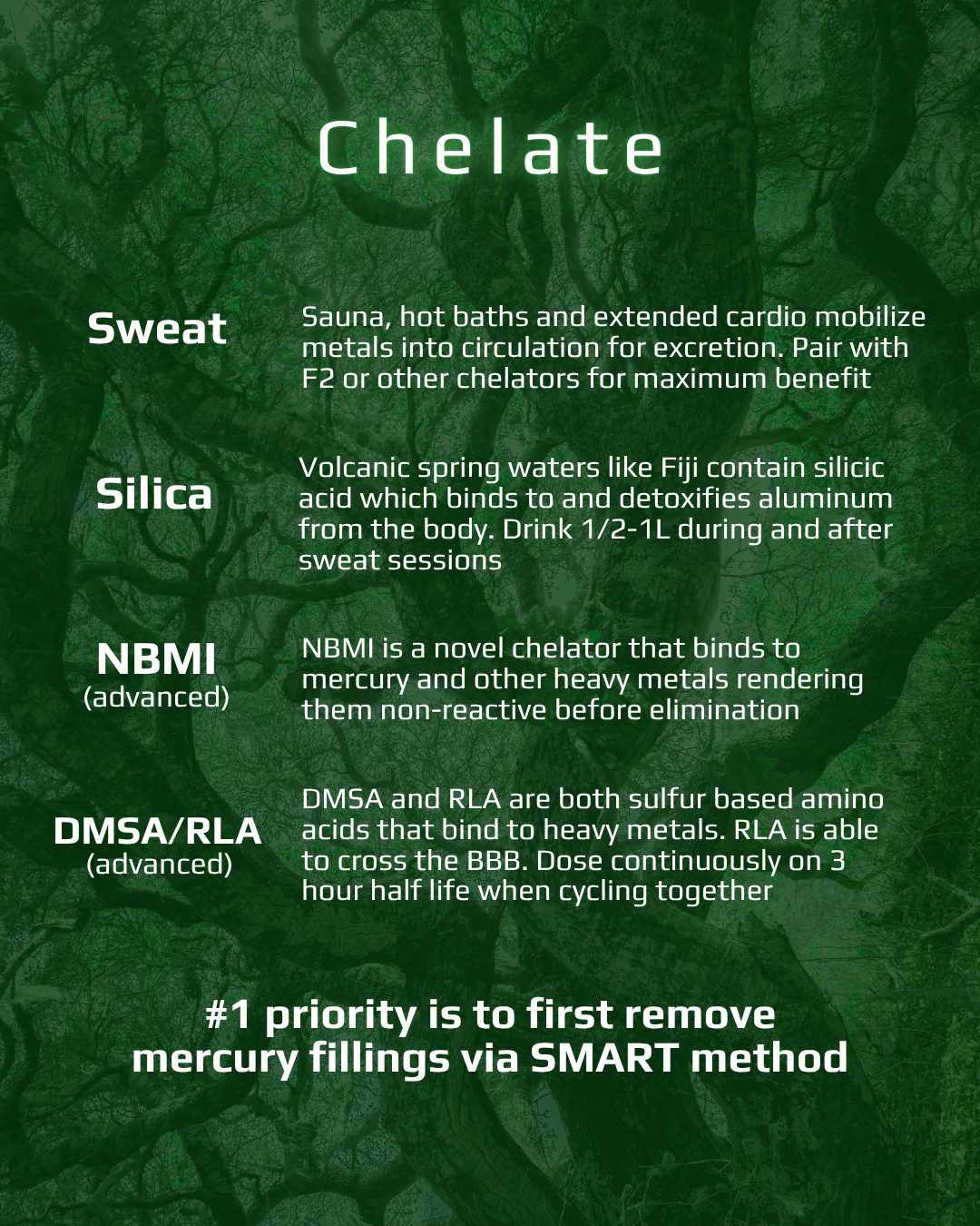 CLRLY protocol page 7