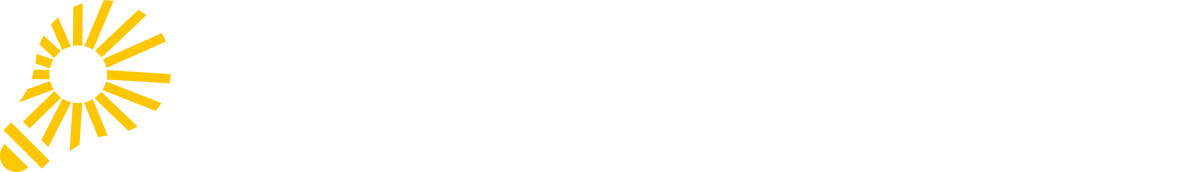 Light and Wellness Co.